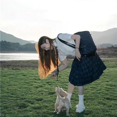 人海浪蝶