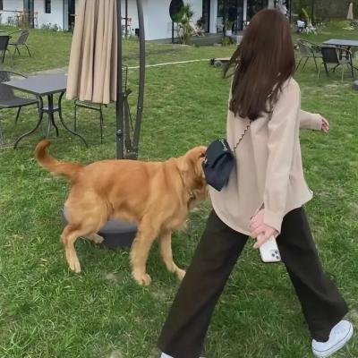 新蝶恋花